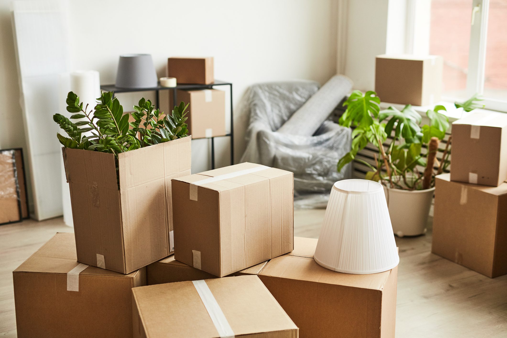 What To Do When Moving House